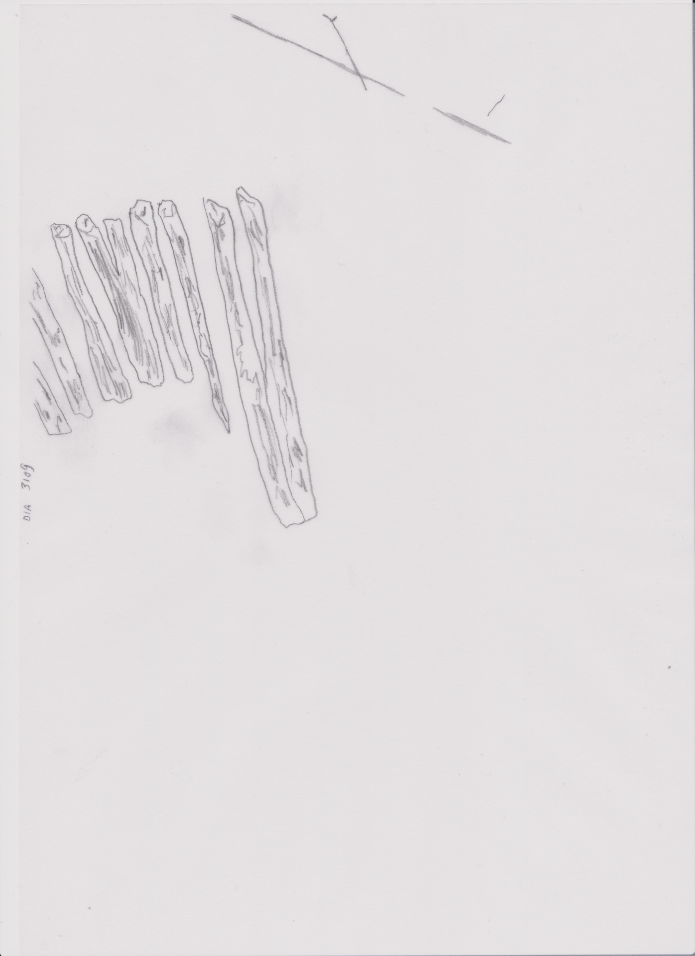 Photo's of Bylma - fishbun, 3109-Dr