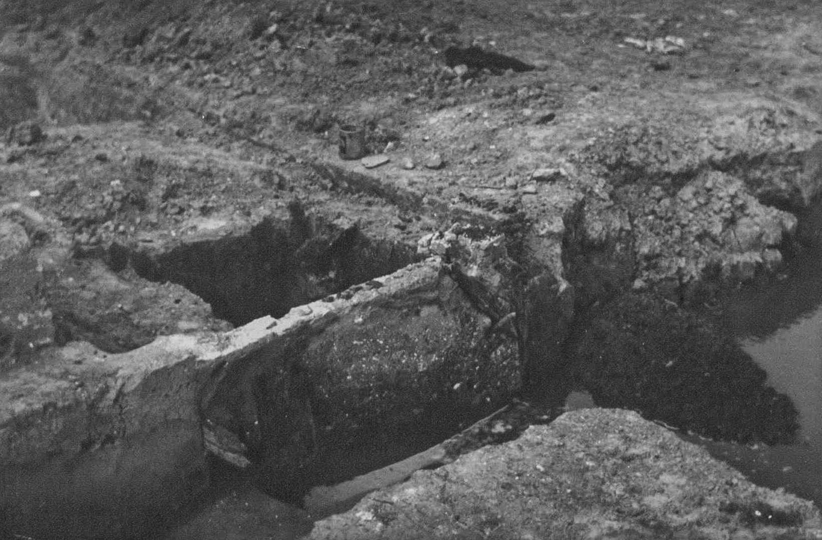 Photo's of Bylma - other, 