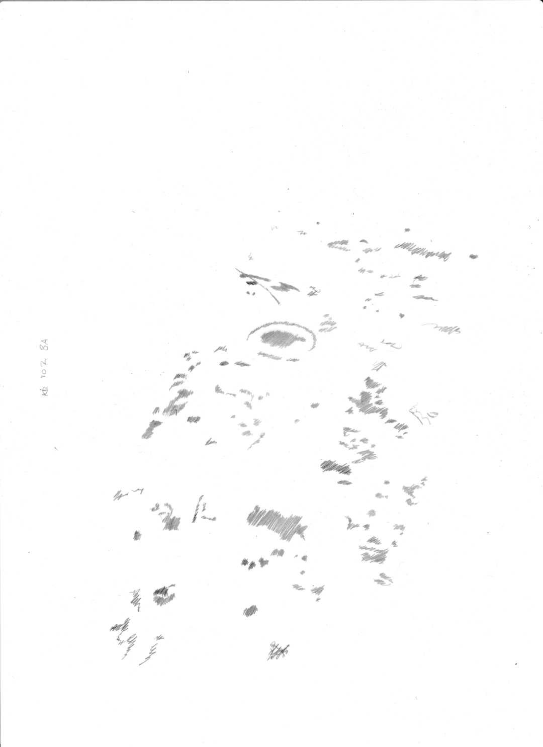 Photo's of Bylma - unknown stone, 