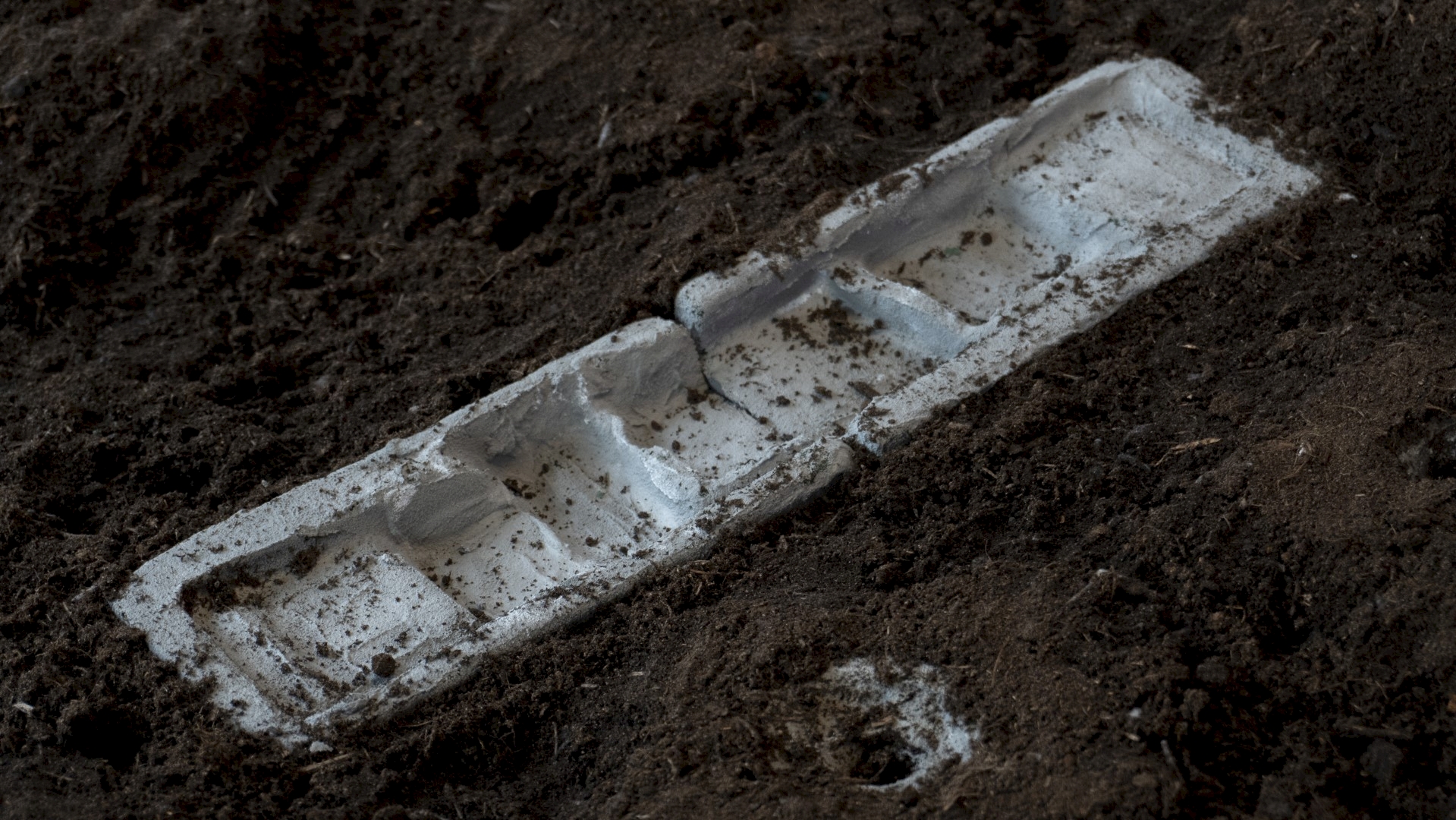 Trial Trench and Stiepholes