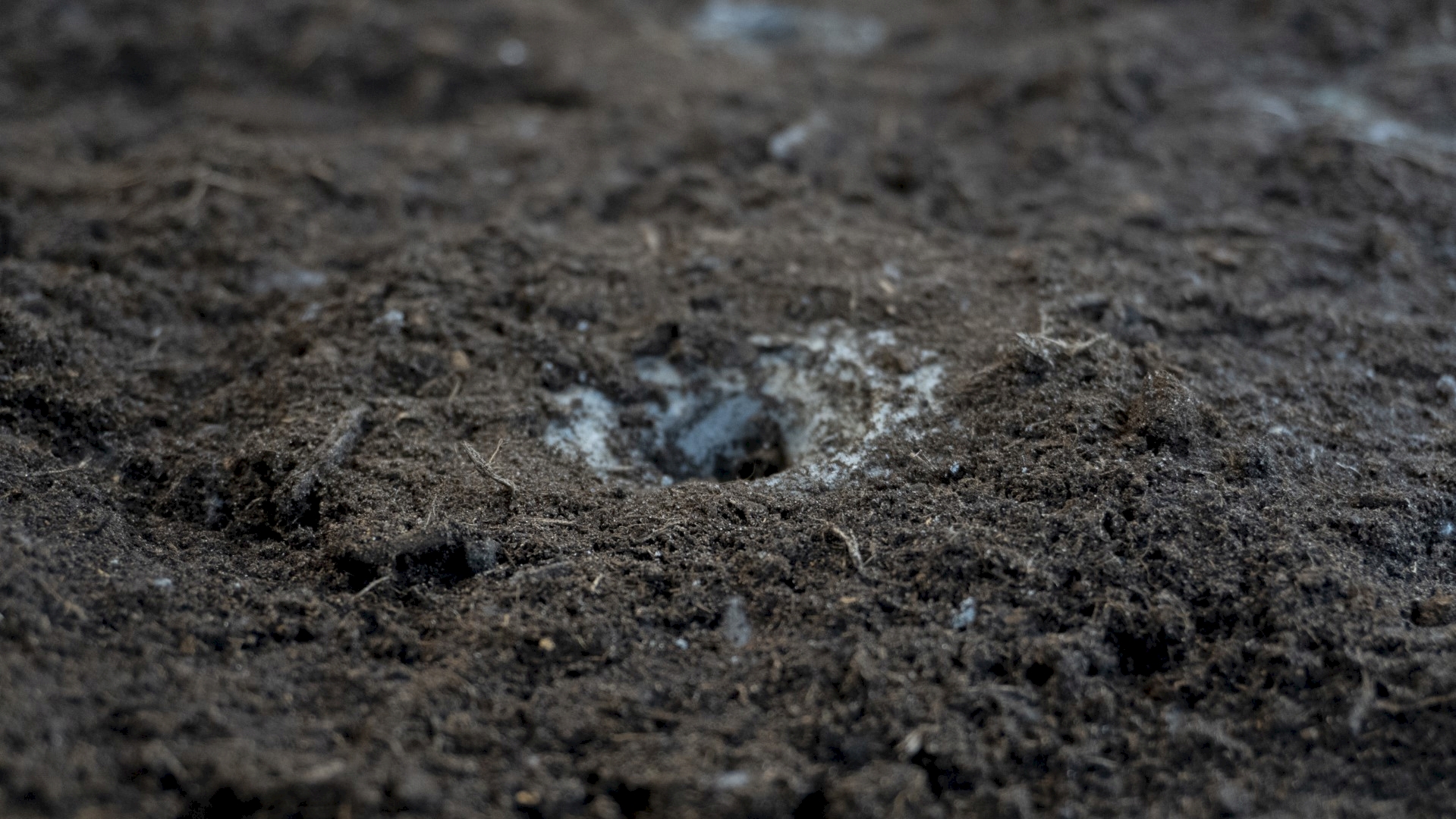 Trial Trench and Stiepholes,