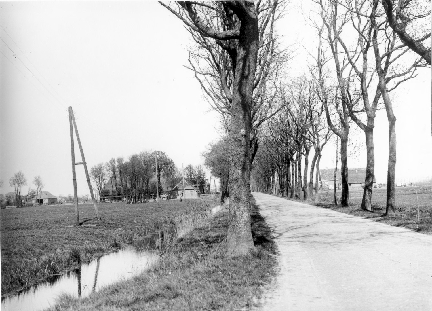 Bylma photograph: Fanerweg